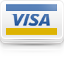 pay visa